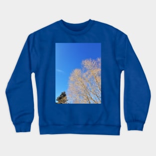 Winter Sky Crewneck Sweatshirt